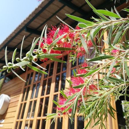 Paiyannoi Guesthome Chiang Mai Buitenkant foto