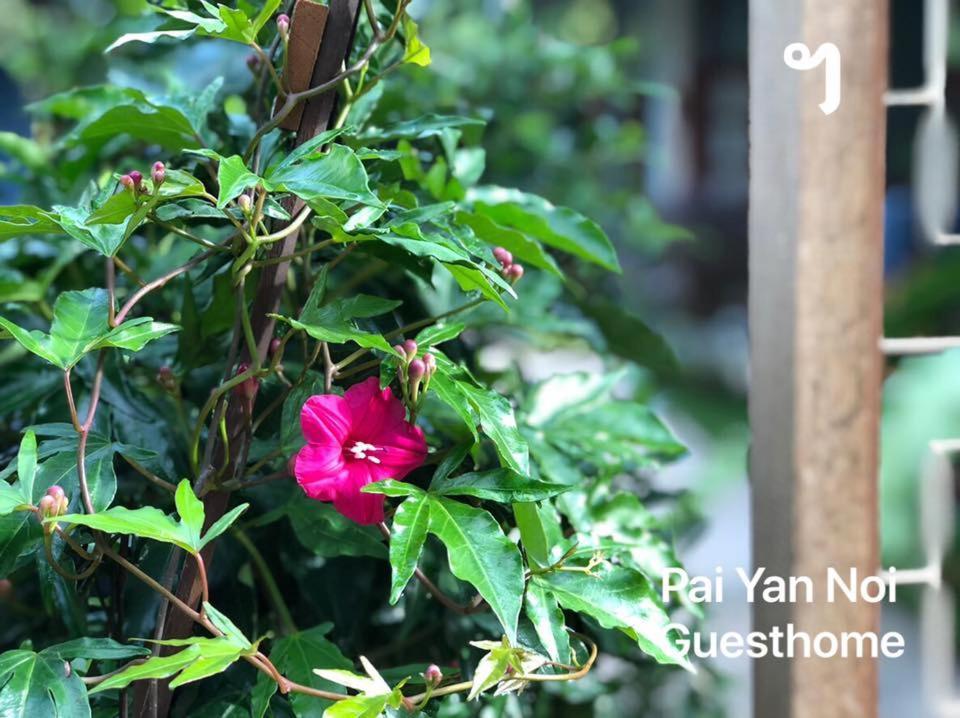 Paiyannoi Guesthome Chiang Mai Buitenkant foto
