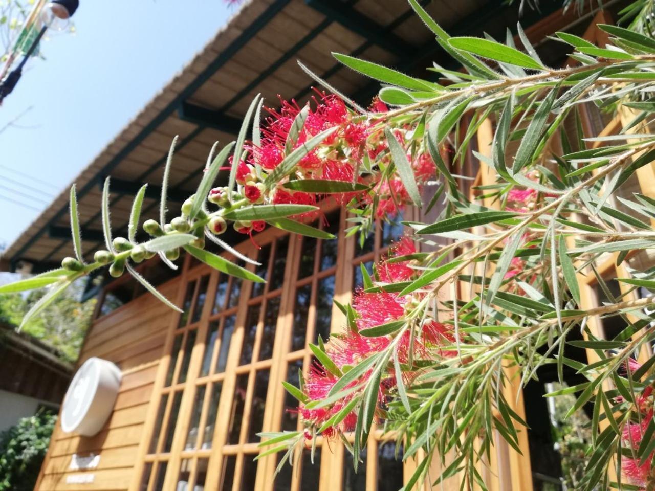 Paiyannoi Guesthome Chiang Mai Buitenkant foto